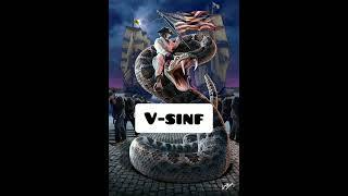 SINFLAR JANGI #comment #like #subscribe #asinf #bsinf #vsinf #gsinf