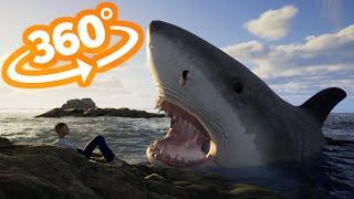 360° SHARK CHASE YOU | VR 4K