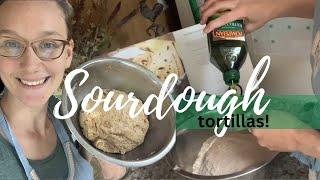 We’ve Got Sourdough! Day 4 of Making a Sourdough Starter from Scratch! + Sourdough Tortillas Recipe