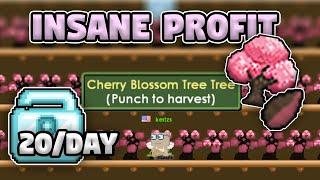 FARMING CHERRY BLOSSOM TREE (EASY PURITY MOONCAKE) 20 DLS PER DAY ?! - GROWTOPIA HARVEST FEST PROFIT