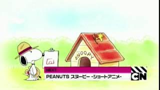 Cartoon Network Japan - Peanuts Snoopy Shorts up next