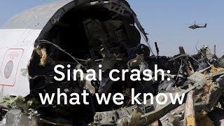 Sinai crash 'not caused by technical fault', say officials