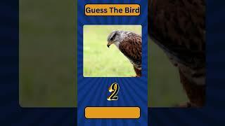 Guess The Bird 1 | Bird | Quiz Tunnel