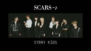 STRAY KIDS - SCARS 1 HOUR