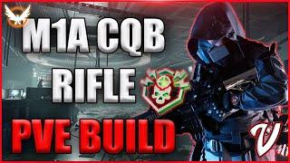 The Division 2- THIS RIFLEMAN M1A CQB BUILD HITS LIKE A TRUCK! *Great for Solo/Team Play*