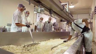 Acres and Avenues: Making Cheese