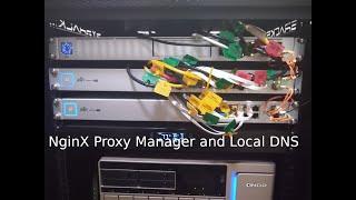 NginX Proxy Manager and Local DNS