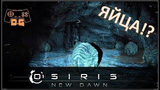 Osiris New Dawn ◈ Зеленый и красный ключ! ◈ Переезд базы ◈ #4v2