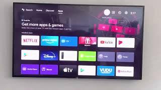 Turn off SONY Bravia TV screen reader assistant