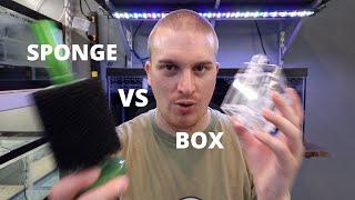 Sponge Filter VS Box Filter