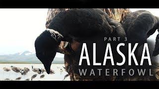 Alaska Adventure: Part 3 | Windsock Decoys on a Loafing Beach