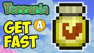 Terraria How To Get VITAMINS Fast (2024)