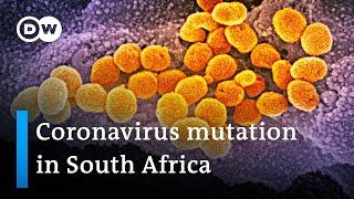 Mutated coronavirus strain drives infections in South Africa | COVID Update