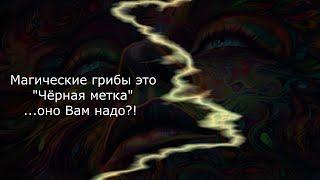 Грибы - Космонавты. Чёрная метка от общества. Псило... грибы шутить не будут!