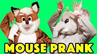 Animal toys in real life - E02 Foxy Mouse Prank on Elfy