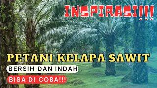 KEBUN SAWIT BERSIH DAN INDAH ||  Inspirasi Petani Kelapa Sawit Indonesia