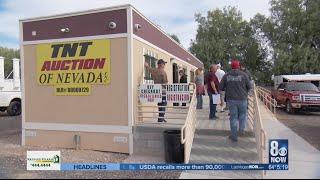 Preview of largest government surplus auction: TNT Auction of Nevada