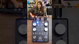 Lo-Fi Sounds from the Caroline Guitar Co. Arigato Phaser/Vibrato #shorts