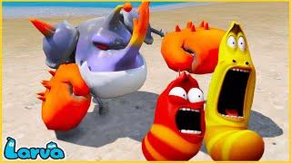 LARVA | CHASE | CARTOON MOVIE FOR LIFE |THE BEST OF CARTOON | HILARIOUS CARTOON COMPILATION