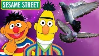 Sesame Street Bert And Ernie Pigeons Twiddlebugs Fun Kids Games