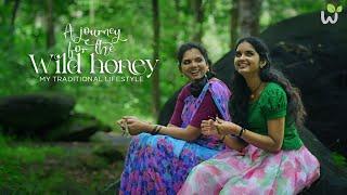 A journey for the wild honey | A Beautiful Forest Expedition | Exploring the Beauty of Nature