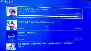 cod cold war connecting problem