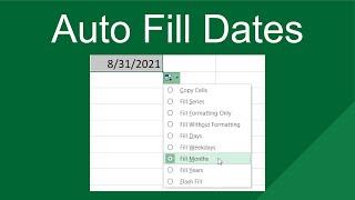 Auto Fill Dates in #excel #shorts