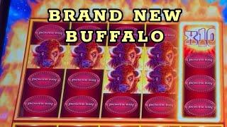 BUFFALO POWER PAY! NEW !! Aristocrat Gaming at Palms Casino #slotmachines #buffalo