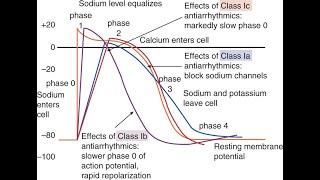 Class I Antiarrhythmics