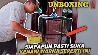 UNBOXING‼️SUMPAH INI WARNA FAVORIT BANGET KENARINYA KALIAN PASTI SUKA