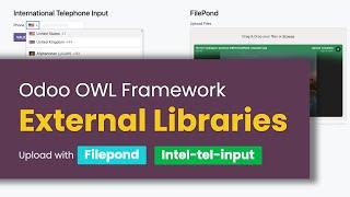 How To Use External Libraries in Odoo using OWL Javascript Framework