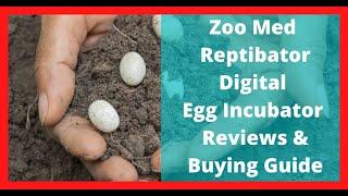 Zoo Med ReptiBator Digital Reptile Egg Incubator Reviews & Buying Guide