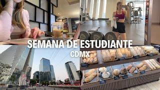 Clases en la UNAM y días libres en la CDMX