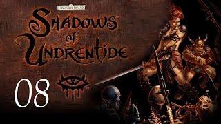 Neverwinter Nights: Shadows of Undrentide - 08 - Damnable Elves