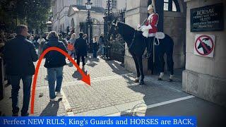 LIVE STREAM - King’s Guards,Adorable Horses are Back