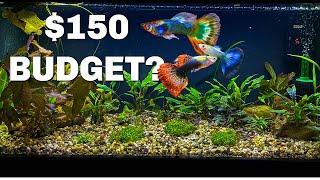 Buying EVERYTHING You Need for an AQUARIUM on a BUDGET