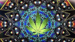 Psytrance Experience - Cannabis Control  Space Hemp / T.H.C. mix 2023