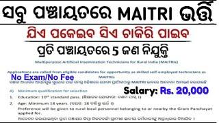 ଓଡ଼ିଶା ପଞ୍ଚାୟତ ସ୍ତରୀୟ ନିଯୁକ୍ତି 2024 |Odisha Panchayat Maitri Recruitment 2024| Odisha Government Job