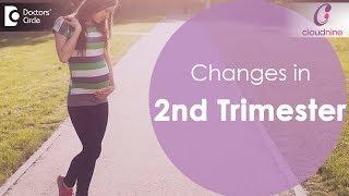 Changes in 2nd Trimester