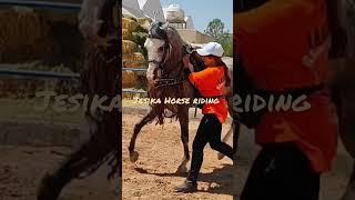 how to hold & control Iranian Horse in the arena by beautiful lady#horseriding#shorts #horsetraining