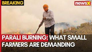 Parali Burning Continues | Small Farmers Demand Resources from Government | NewsX