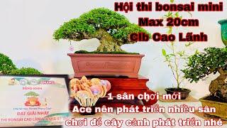 Hội thi bonsai mini - clb Cao Lãnh , Đồng Tháp
