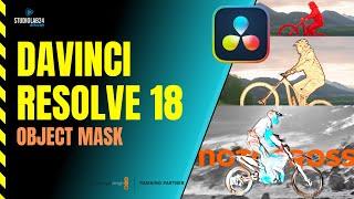 Davinci Resolve 18 - Object Mask (Magic Mask) New