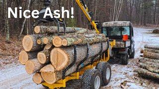 Cutting Nice Ash and Some Helpful Equipment!