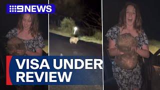 Influencer's visa under review over controversial wombat video | 9 News Australia