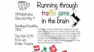 Running through Traffic Jams in the Brain - Prof. Sandhya Koushika