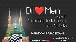 Dil Men Jamale Gumbad e Khazra Basa Ke Dekh | Sajjad Nizami Naat | Salmaani Network