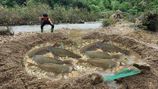 Full video of 15 days of fishing using the ancient method, catching a lot of fish to sell.