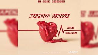 Ozza Kiponza - Mapenzi Ujinga (Official Audio) Singeli Music