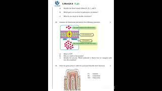 class 9 Biology first term examination model paper